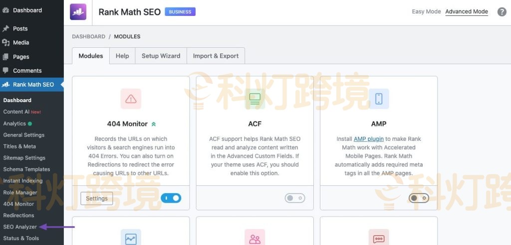 访问SEO Analyzer