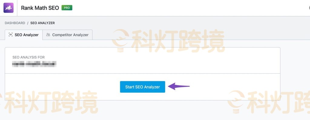 单击页面顶部的启动 SEO 分析器